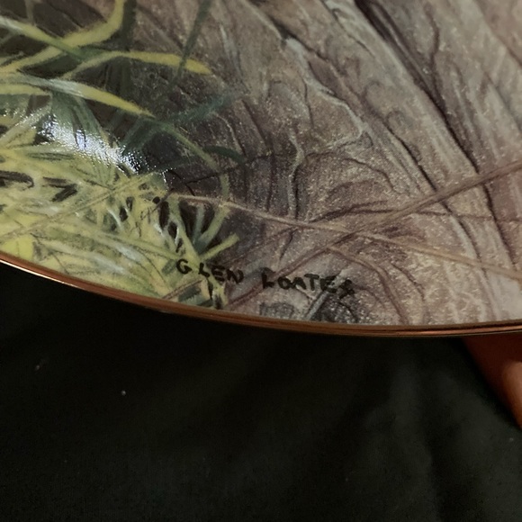 Baby Big-Cat Decorative Plate - Picture 3 of 3